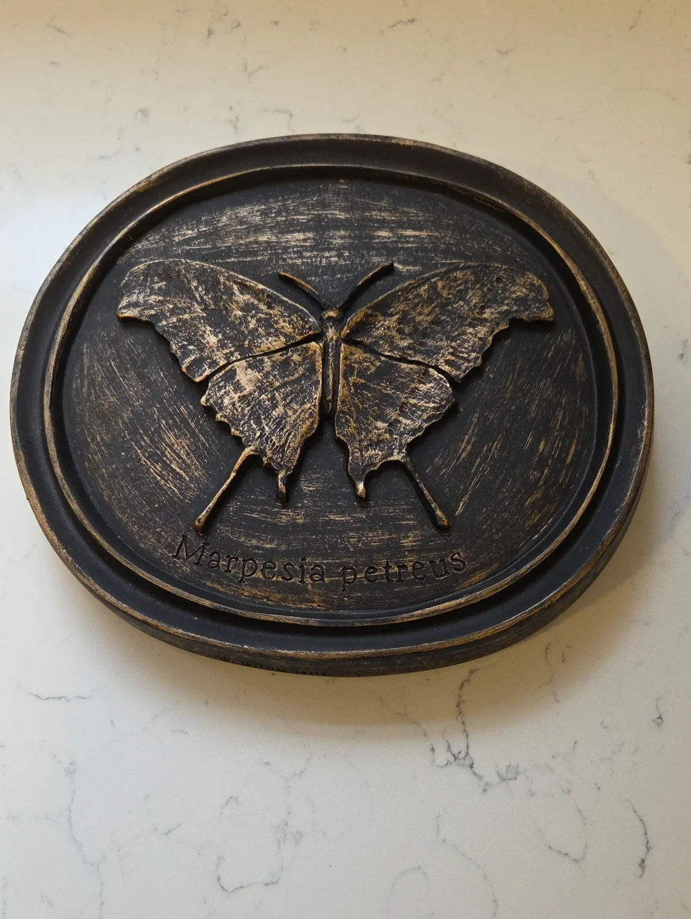 Bronze Butterfly Wall Plaque - Marpesia petreus